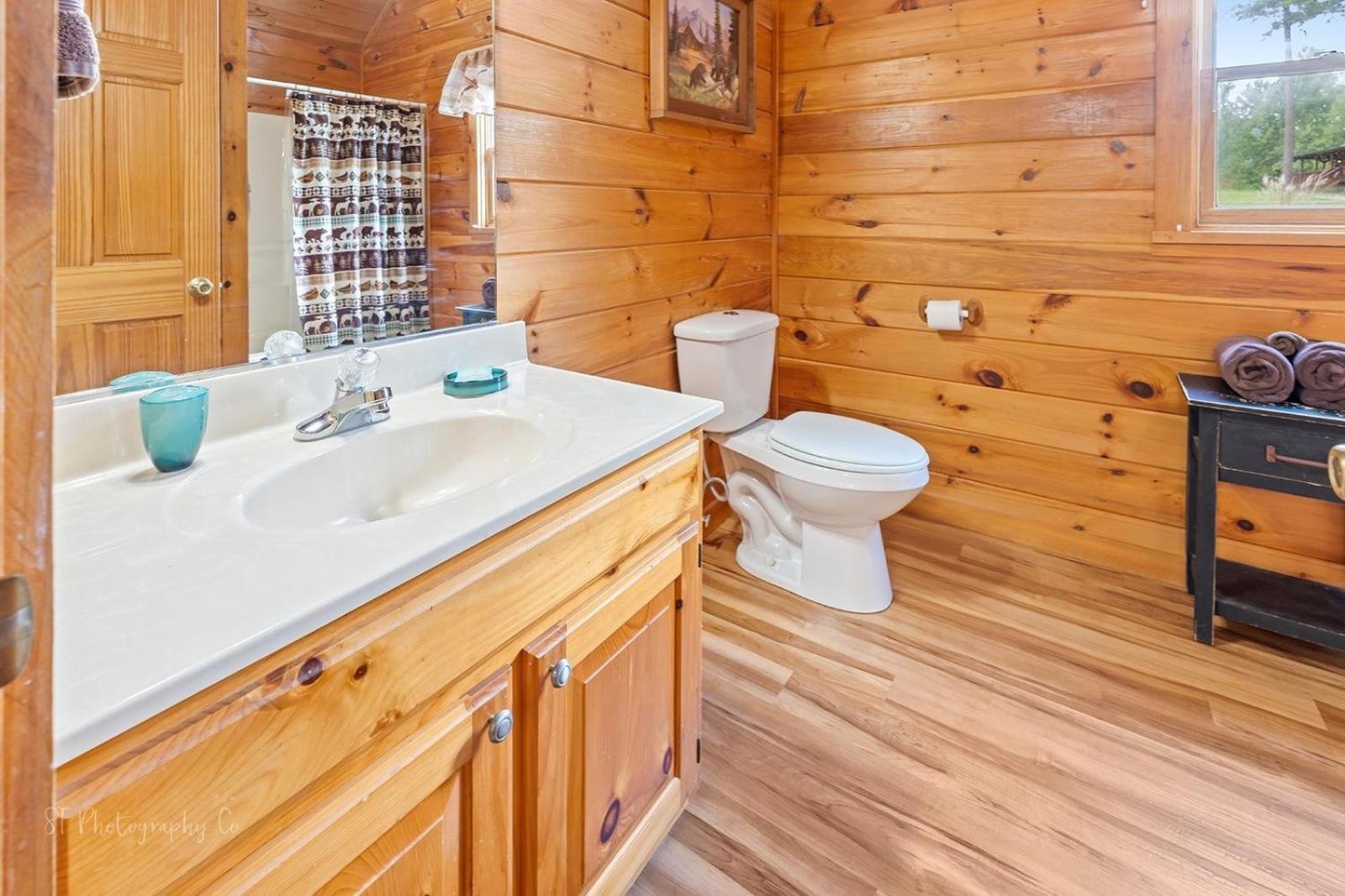 Hibernation Station Cabin Sevierville Exteriör bild